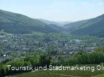 Blick auf Olsberg