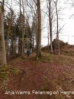Aufstieg zum Kreuz auf dem Steinberg