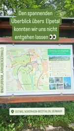 IMG_20240808_162345_018.jpg