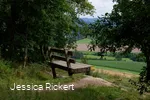 Riesen Bank bei Eversberg 1 © Jessica Rickert.jpg