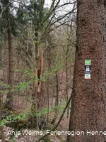 Wegmarkierungen Rundweg Steinbergruine, Sauerland Waldroute, O6