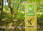 Markierungszeichen Waldroute und Klangwald