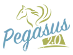 Logo Bistro Pegasus 2025.png