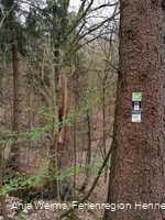 Wegmarkierungen Rundweg Steinbergruine, Sauerland Waldroute, O6