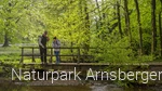 Mit dem Ranger auf der Sauerland-Waldroute